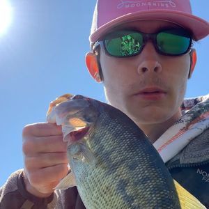 Meet your Posher, Graham